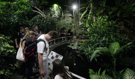 botanicka-zahrada-uk-praha-venkovni-a-sklenikova-expozice